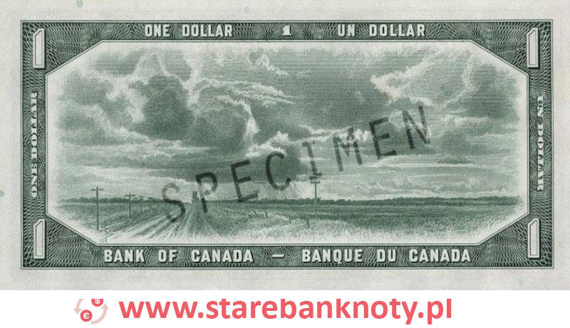 widok banknotu 